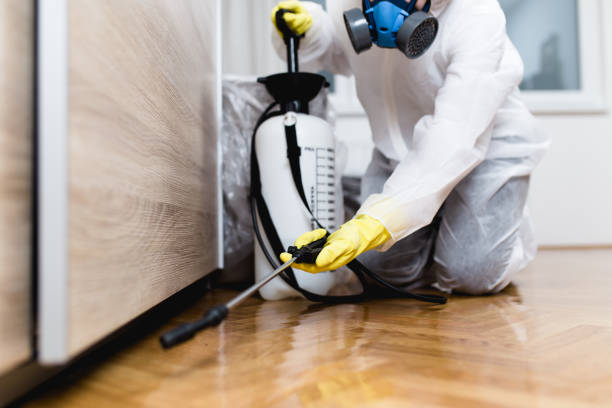 Best Rat Extermination Near Me  in Brook Highland, AL