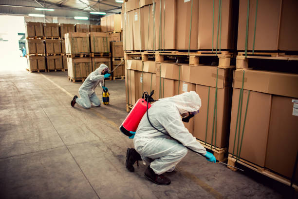 Best Best Pest Control Companies  in Brook Highland, AL