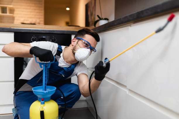 Best Emergency Pest Control  in Brook Highland, AL