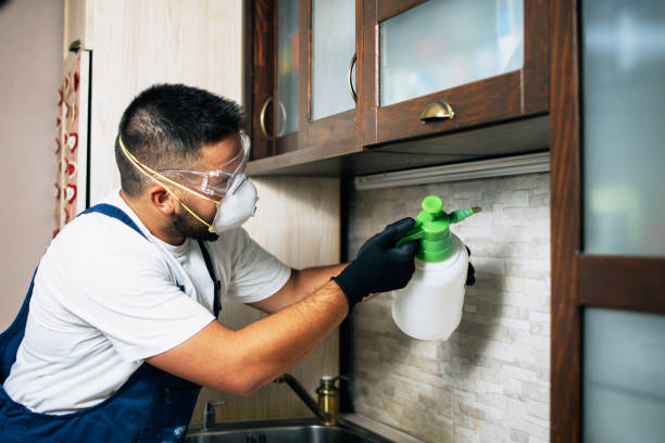 Best Ant Control Services  in Brook Highland, AL
