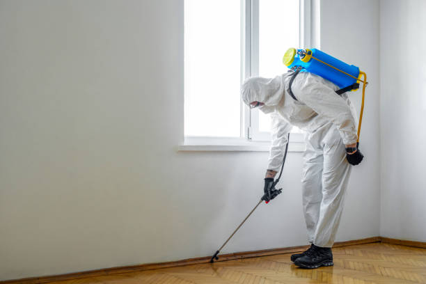 Best Best Pest Control Companies  in Brook Highland, AL