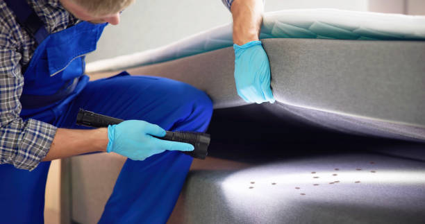 Best Wasp Removal Services  in Brook Highland, AL
