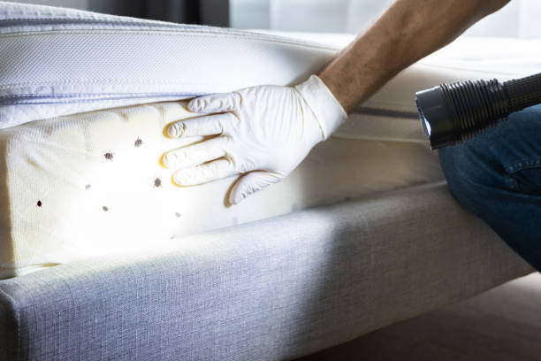 Best Pest Inspection Near Me  in Brook Highland, AL