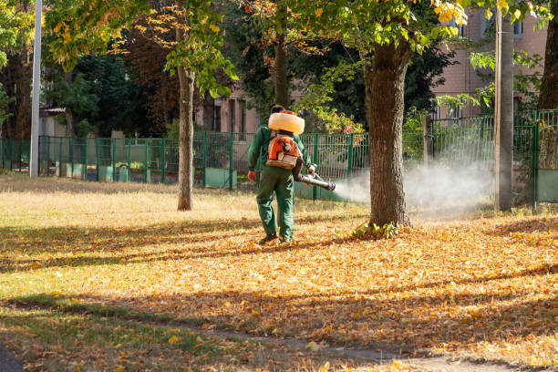 Best Affordable Pest Control Services  in Brook Highland, AL