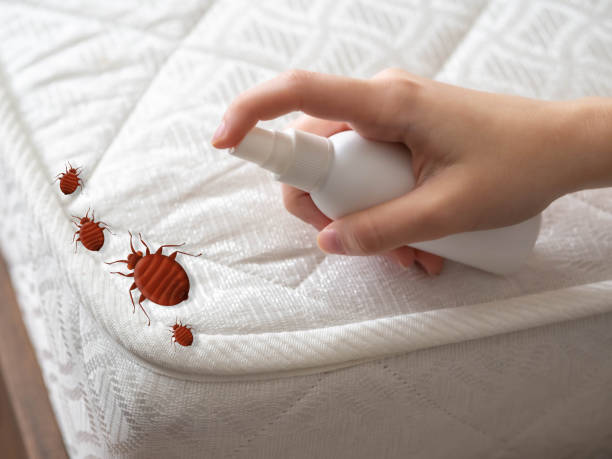 Brook Highland, AL Pest Control Company