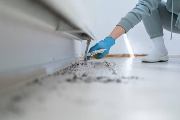 Best Commercial Pest Control Services  in Brook Highland, AL